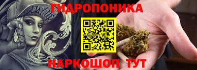 a pvp Гусь-Хрустальный