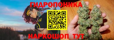 a pvp Гусь-Хрустальный
