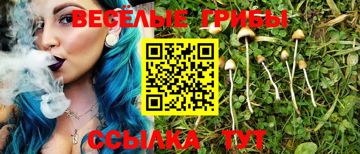 Псилоцибиновые грибы GOLDEN TEACHER  Вход с VPN  Гусиноозёрск 