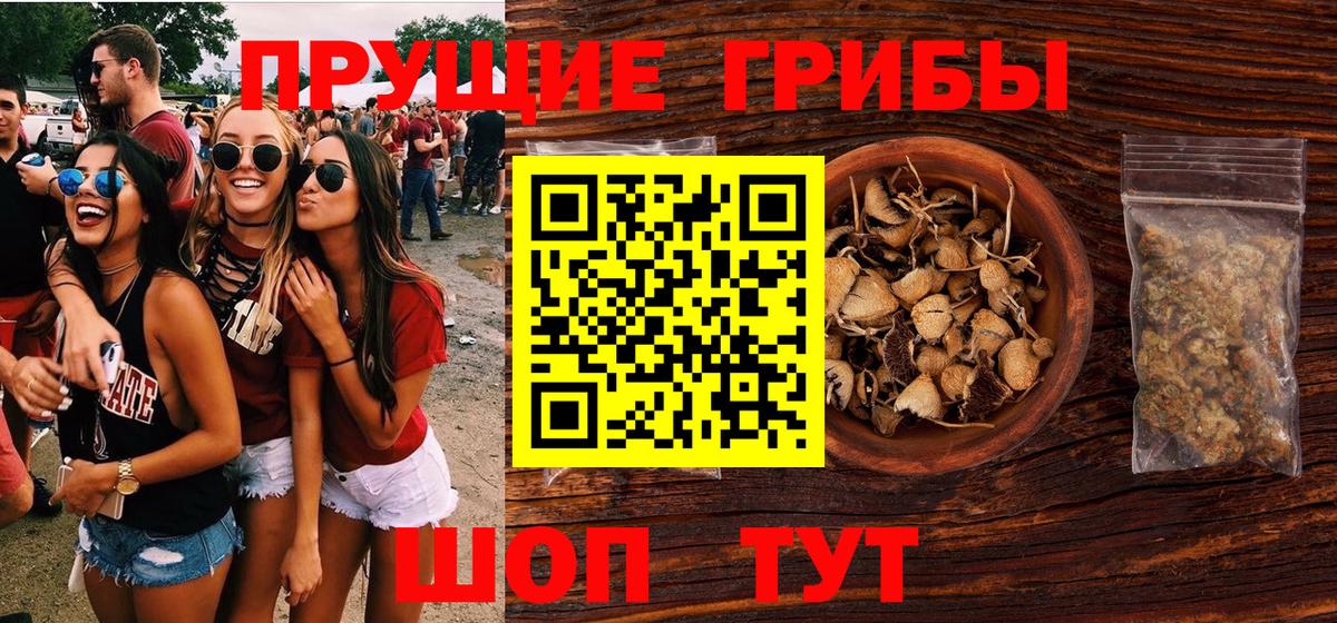 Галлюциногенные грибы мухоморы Гусиноозёрск