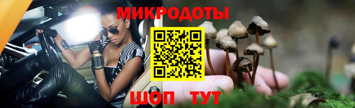 Псилоцибиновые грибы мухоморы Гусиноозёрск
